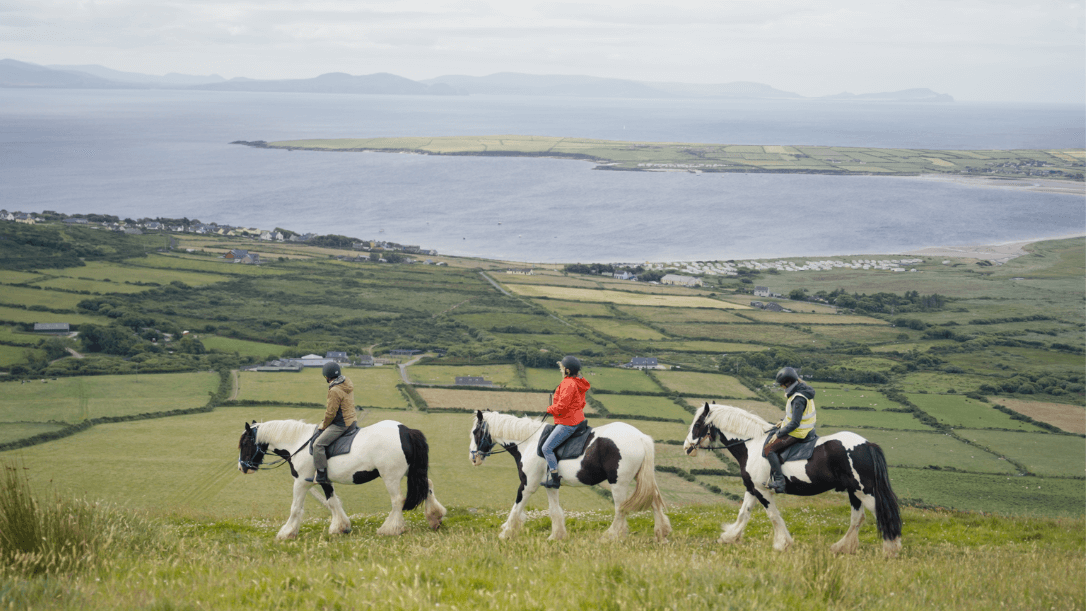 A group of guests horse riding up a mountain in ventry 