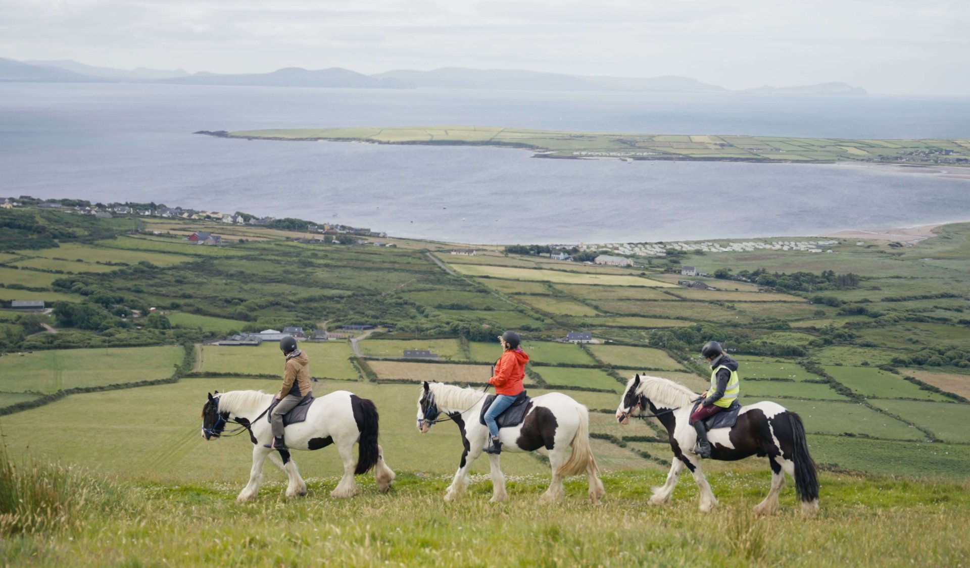 a group horse riding on a mountain above dingle bay