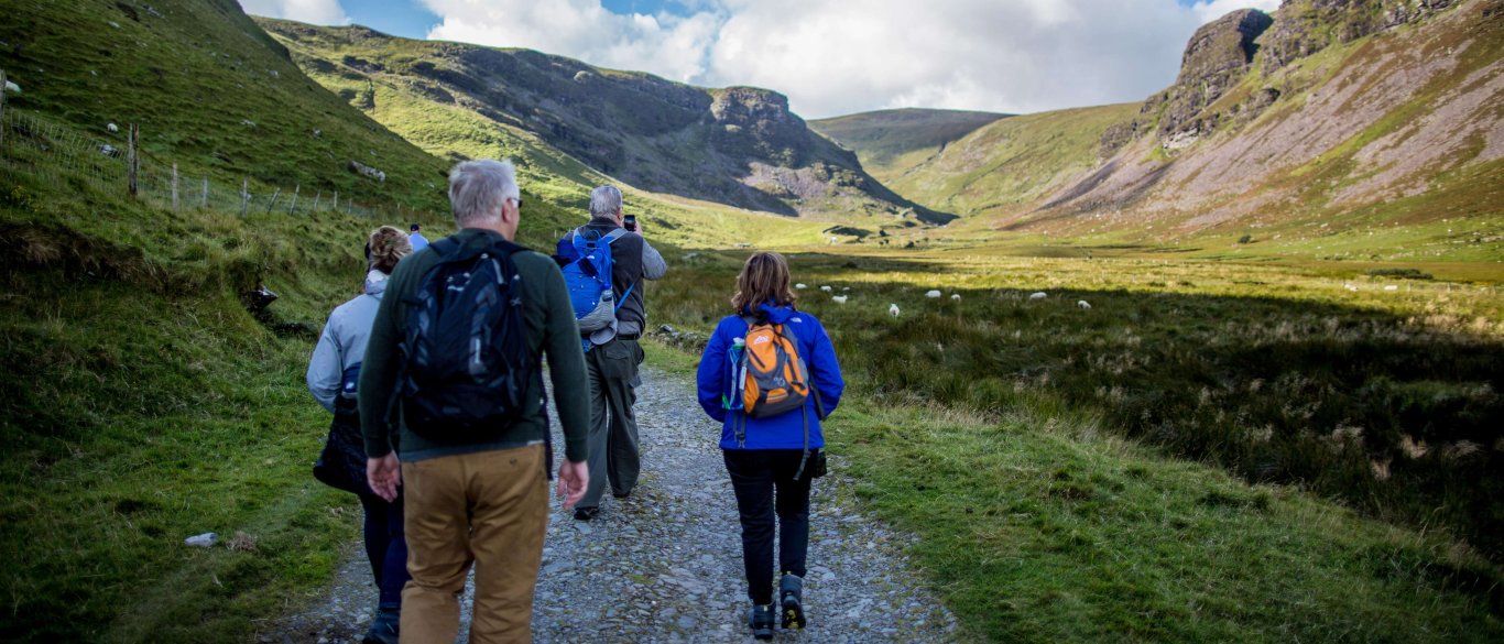 Vagabond Tour Group of hikers in a green valley on the Dingle peninsula