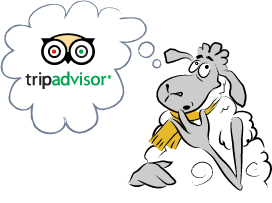 Trip Advisor Heading Image