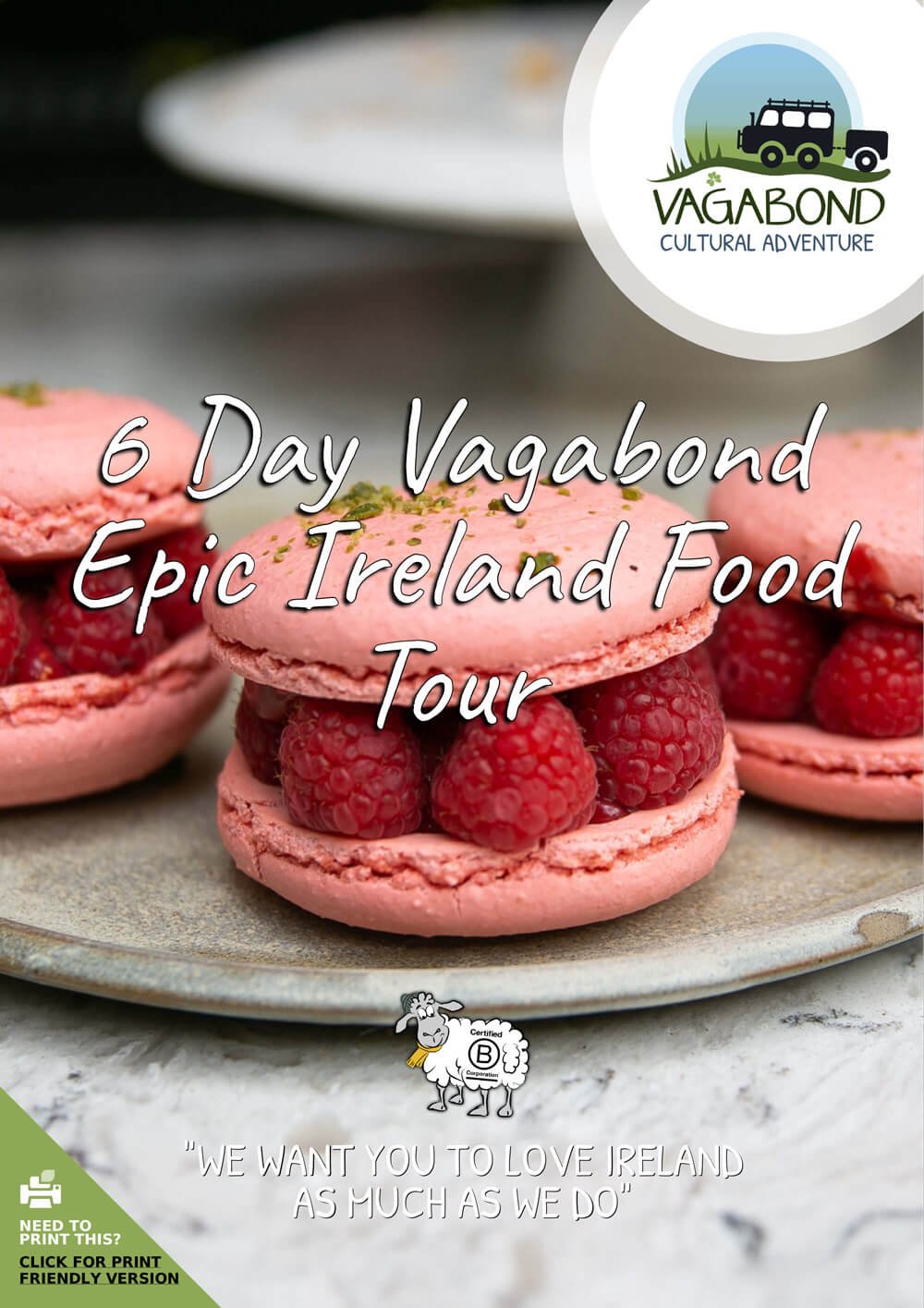 6 Day Vagabond Epic Ireland Food Tour itinerary cover showing raspberry macaroons