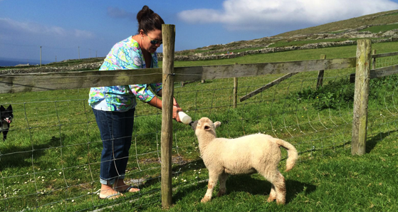 Feeding a lamb