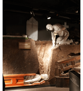 Body Snatcher. What to do in Dublin