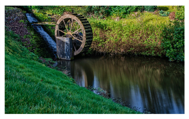 Watermill Beech Hill