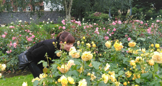 tralee - Romantic Places in Ireland to Propose