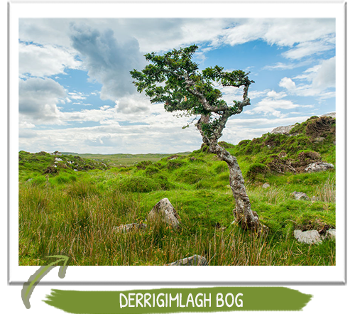 Connemara, Ireland, landscape