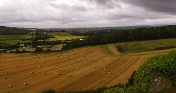 Fields of gold from the top of the Rock of Dunamase irish castle ruins