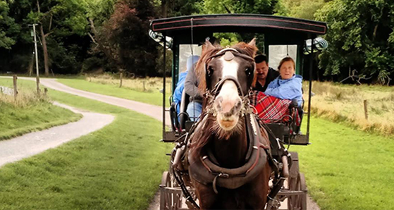 Jaunting In Killarney National Park Ireland Tours Small Group