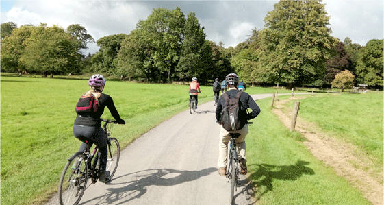 Sunny cycle through Killarney National Park