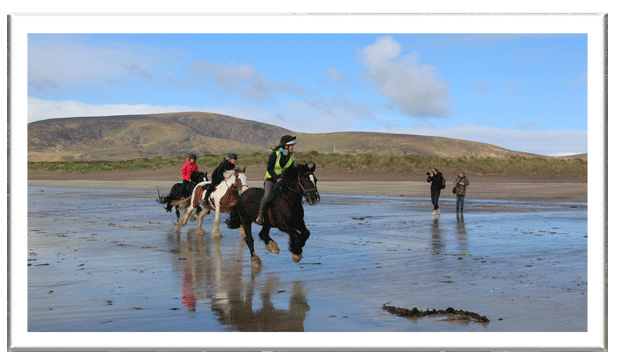 Galloping along Ventry Beach