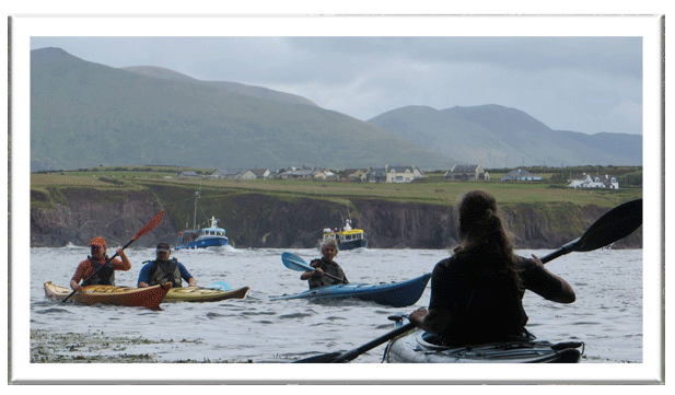 Kayaking in Dingle Harbour