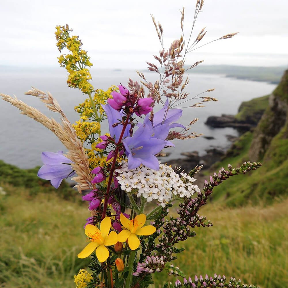 Visiting Ireland in August UPDATED for 2019 Vagabond Tours