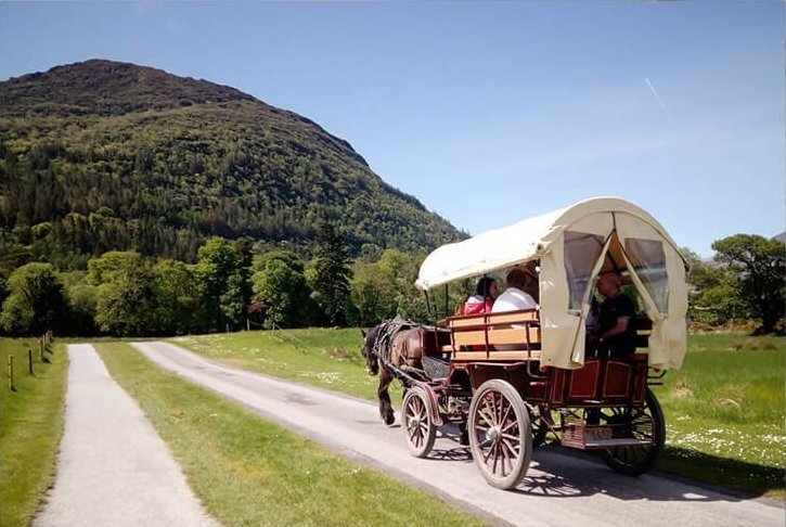 Jaunting around the Killarney National Park in Kerry