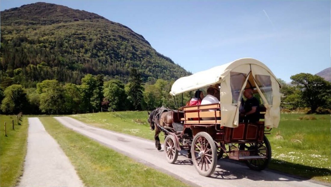 Jaunting by horse drawn carriage in Killarney National Park